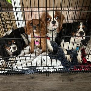 Meet your Posher, Brenda